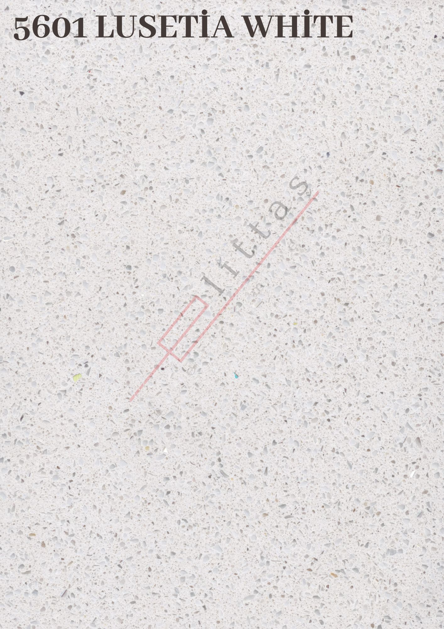 5601 Lusetia White